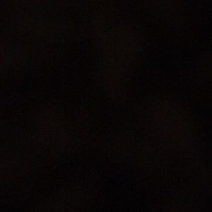 Meet your Posher, Britney